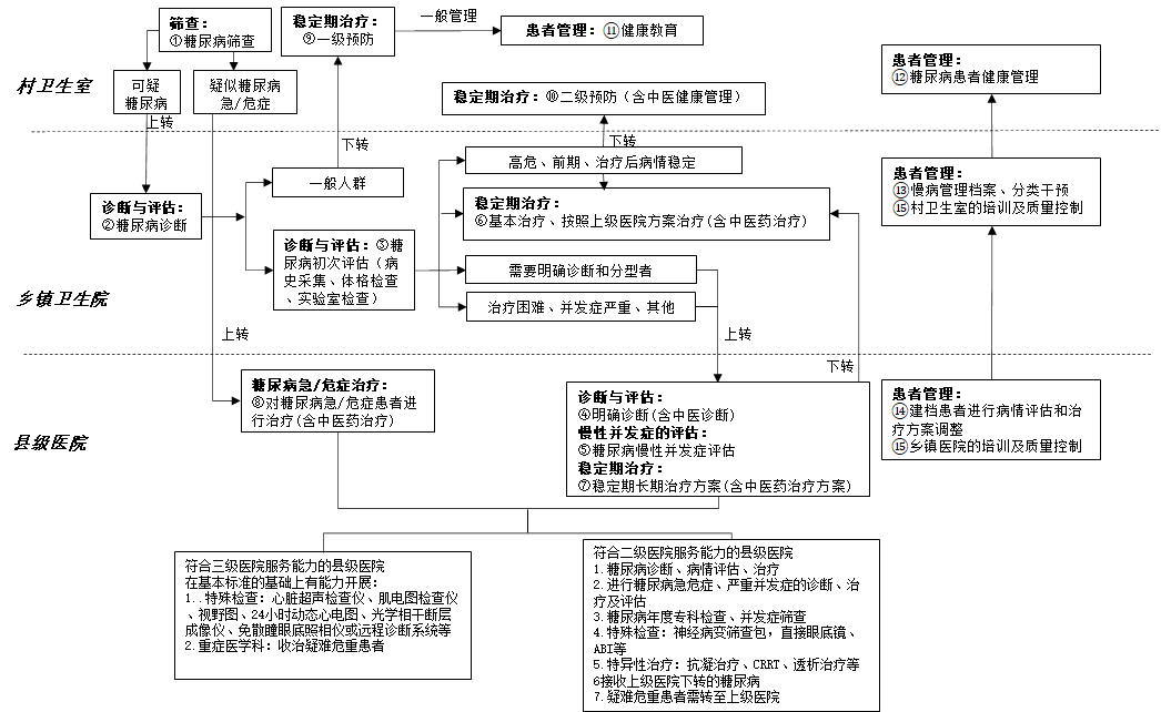 县域糖尿病分级诊疗临床路径