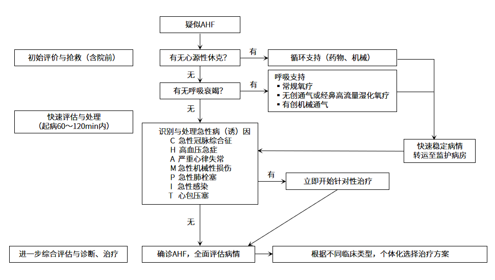 AHF患者初始评估和紧急处置流程