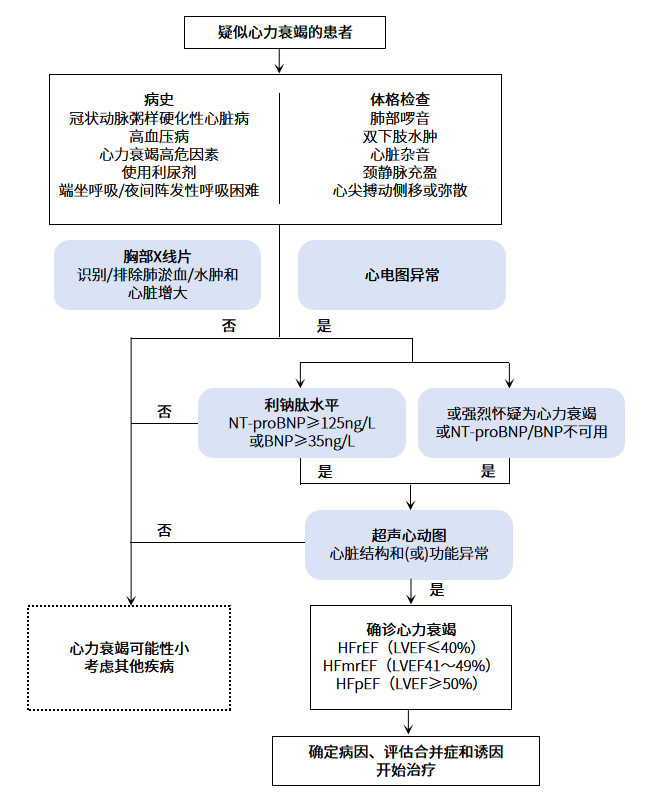 慢性心衰的诊断流程