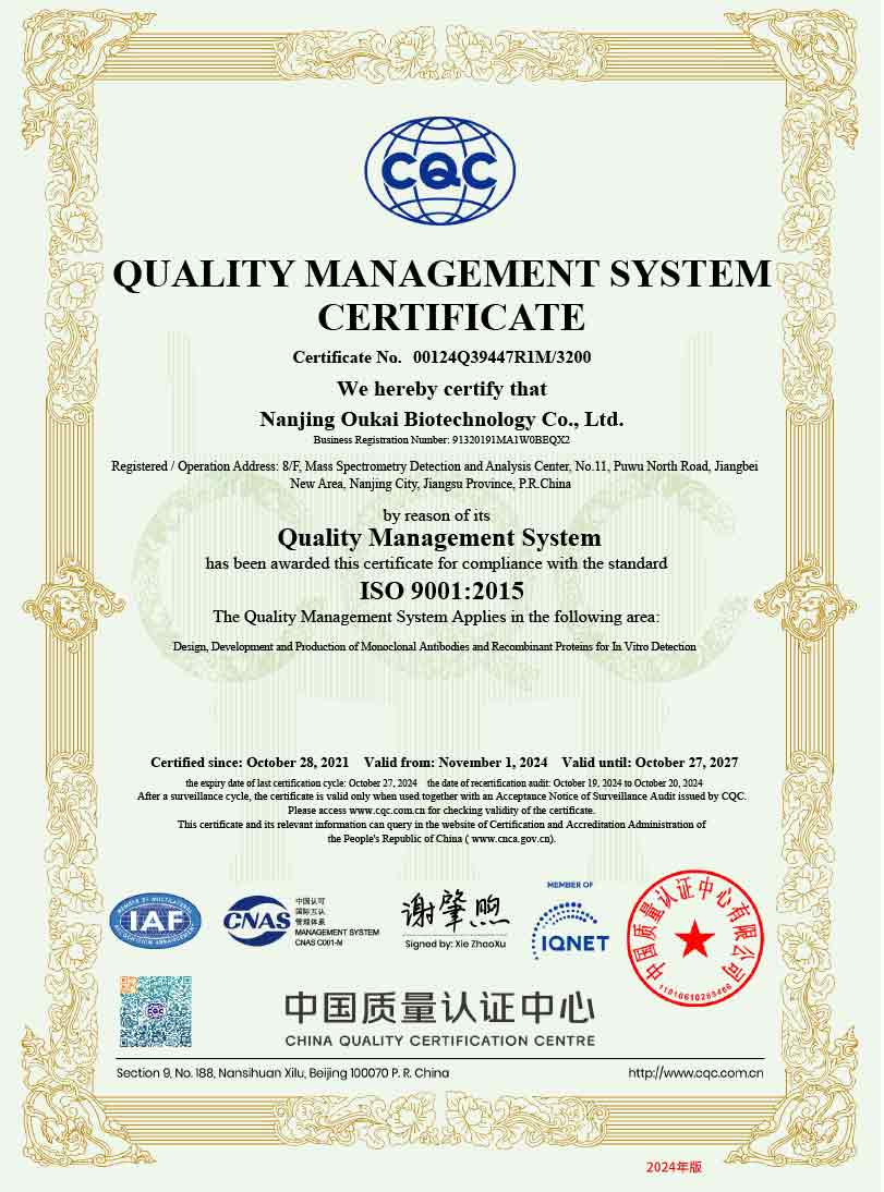 ISO9001-en